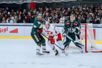 Luca Auer vs FTC Telekom Budapest  (c) Mackinger EC Red Bull Salzburg.jpg