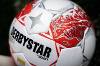 Derbystar Sommer (c) Bundesliga
