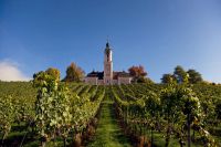 Weinberge (c) Achim Mende Internationale Bodensee Tourismus GmbH .jpg