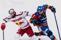 Migross Supermercati Asiago Hockey vs. EC Red Bull Salzburg (c) Zenoni EC Red Bull .jpg