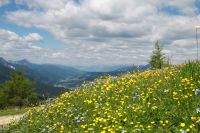 Faszination Hochpustertal (c) Maier.jpg